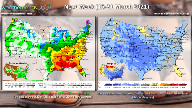 2021 Weather Trends Across the World | weathertrends360